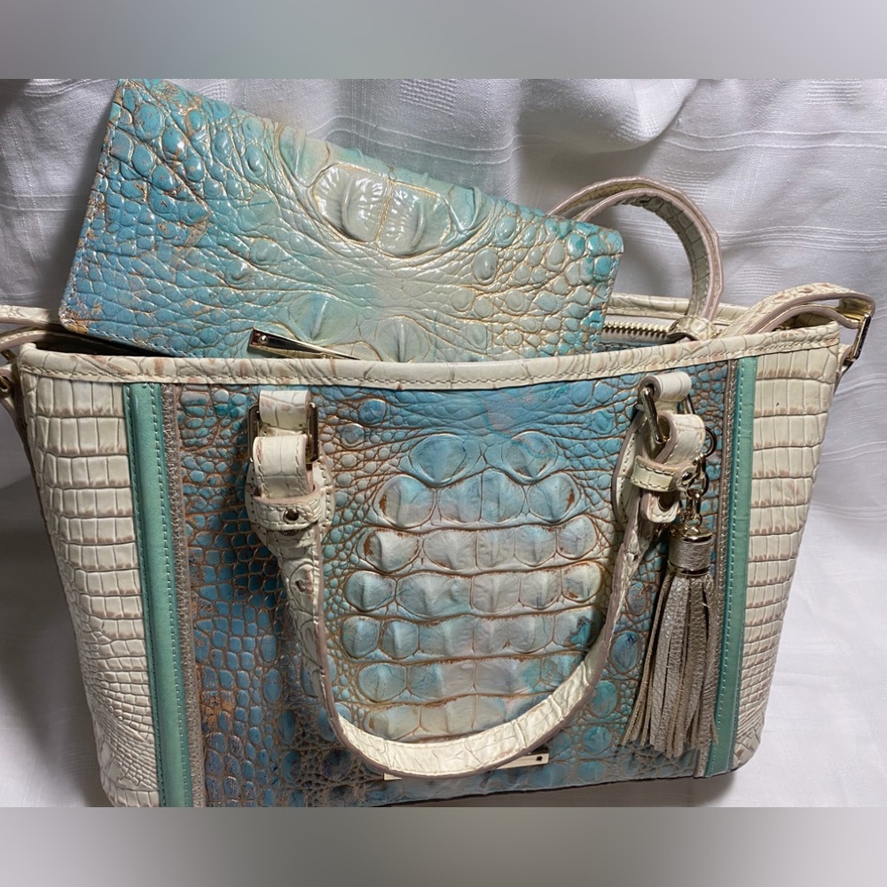 2 Pc BRAHMIN SERENDIPITY MINI ASHER &  MATCHING ADY WALLET, VERY GENTLY USED